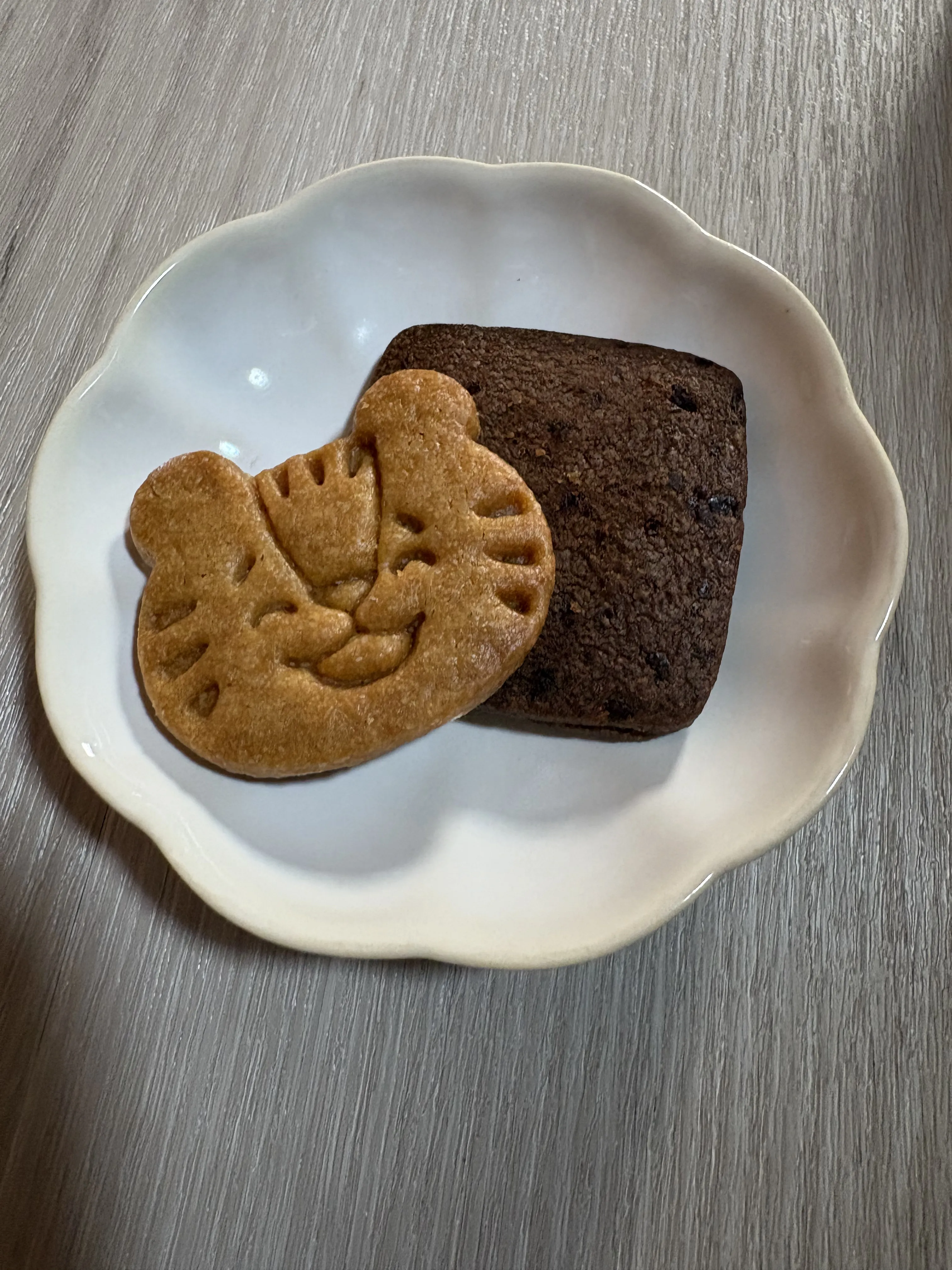 SUGITORAのクッキー サブレショコラ