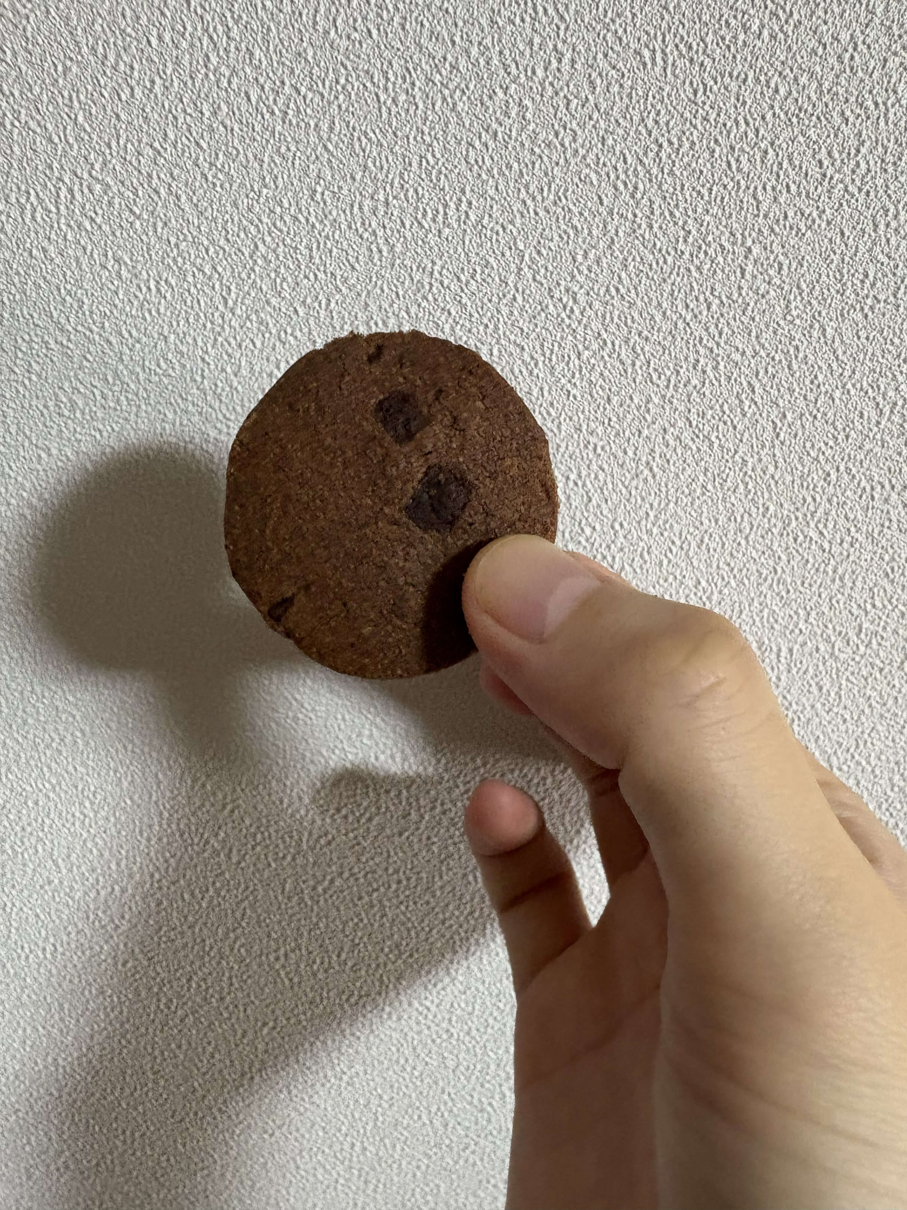 アンドメル-カカオチョコチップクッキー本体の写真