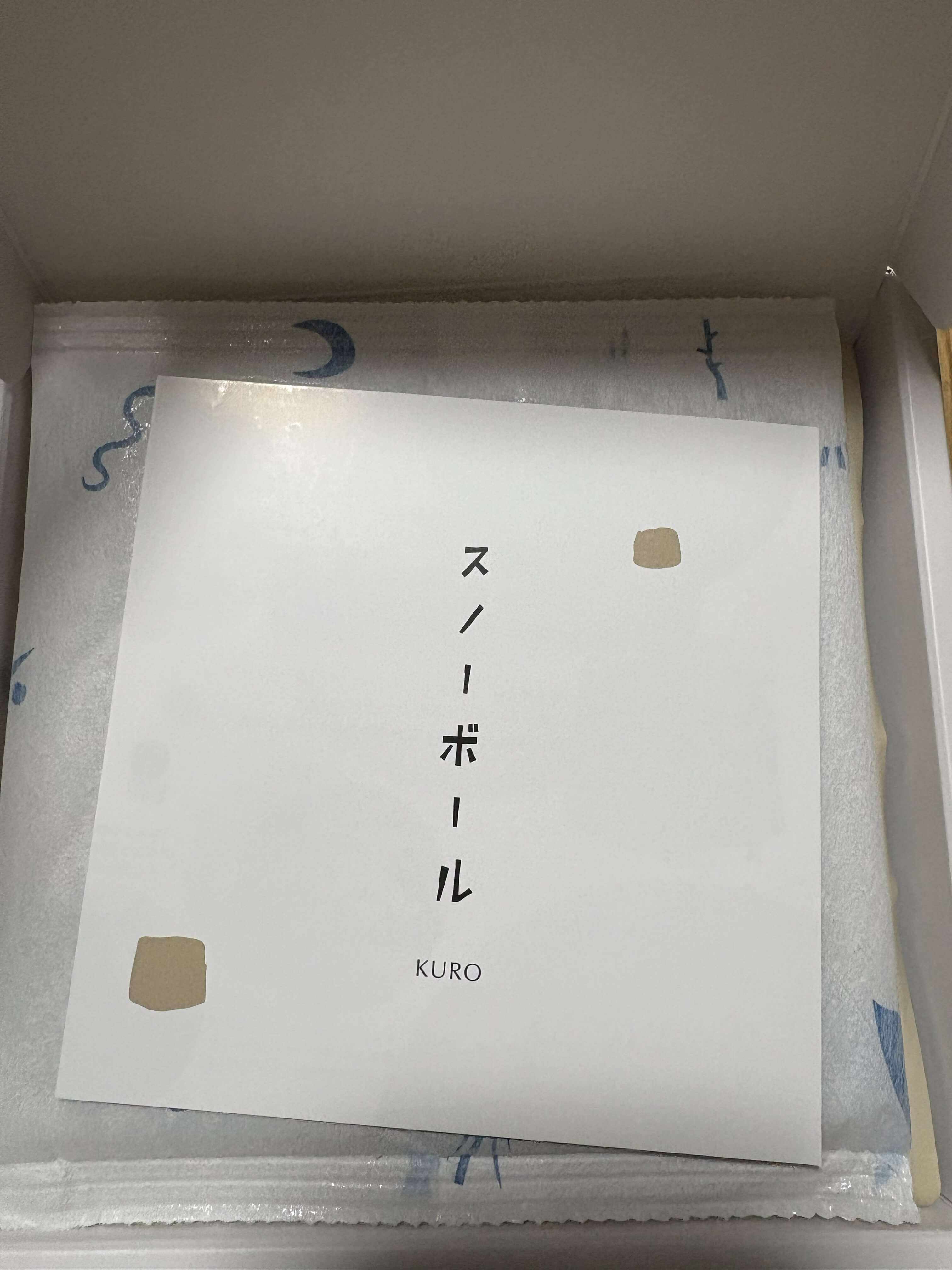 Snows(スノー) - スノーボール 黒のパッケージを開封したときの写真