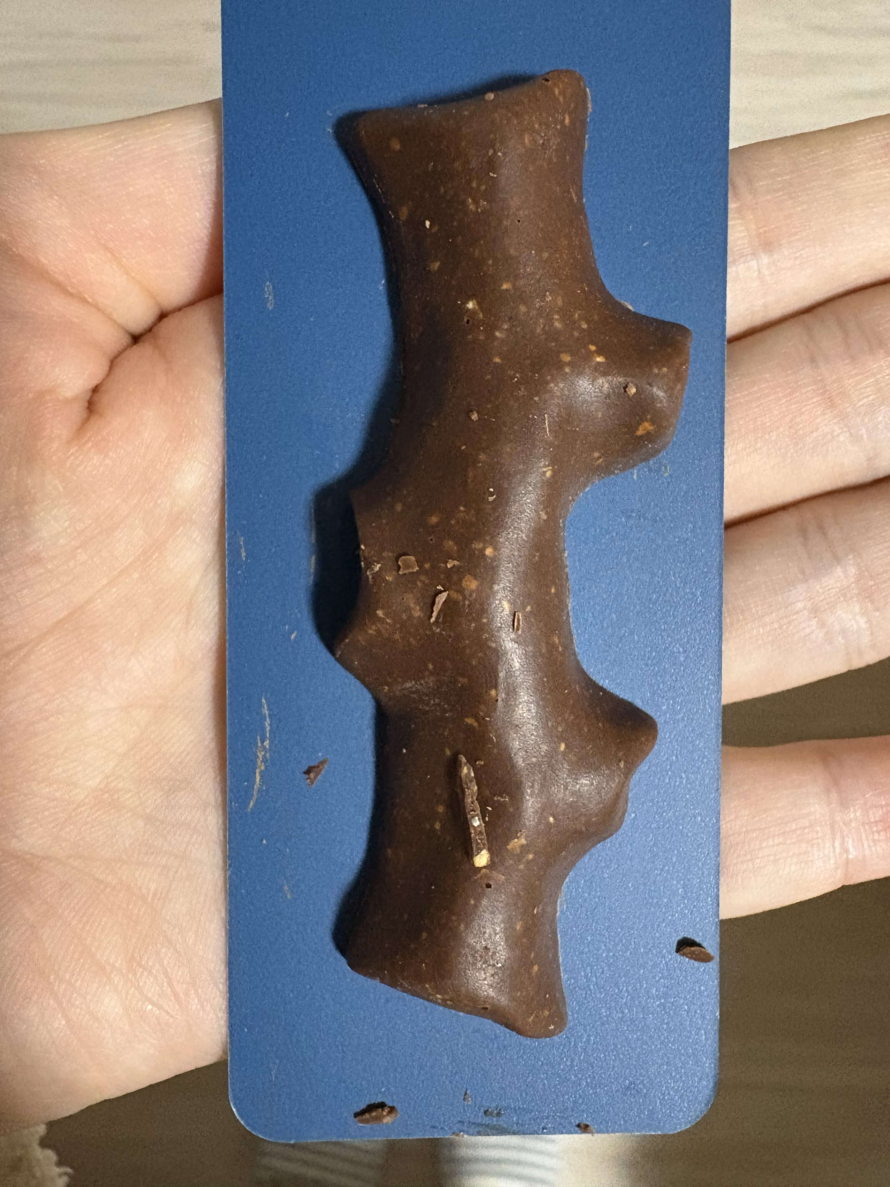 Snows(スノー) - 森ノ木