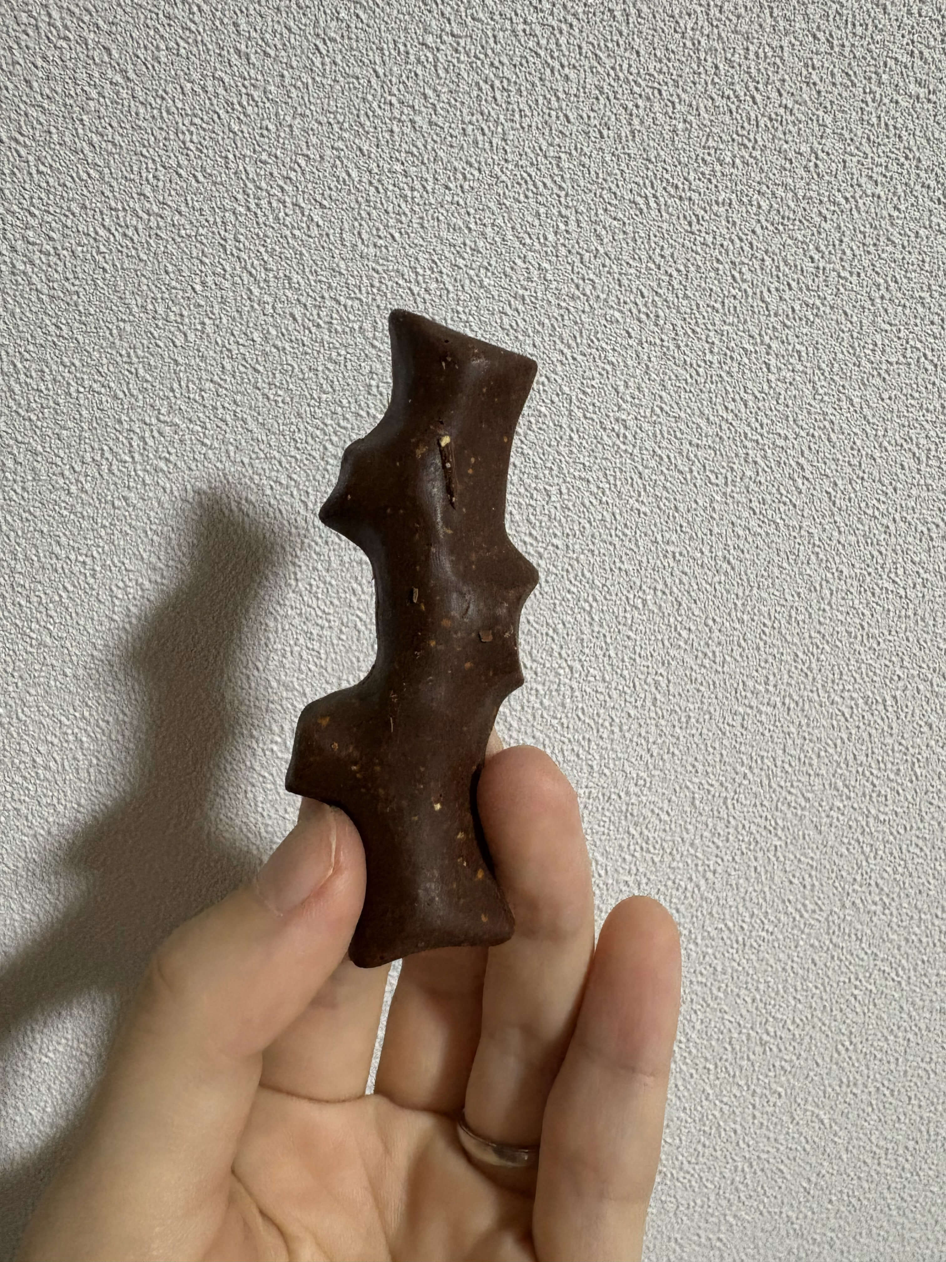 Snows(スノー) - 森ノ木