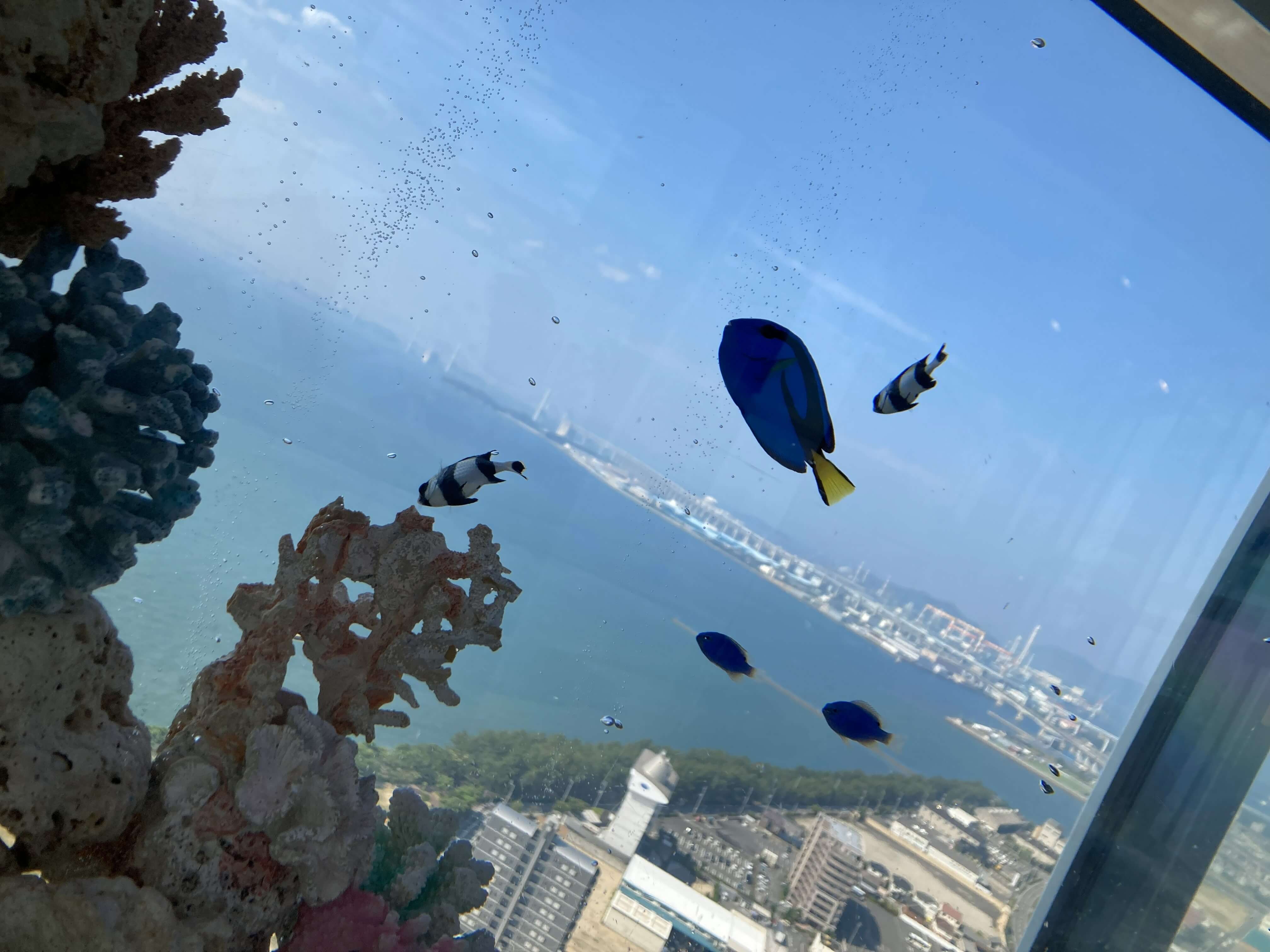 ゴールドタワーのソラキン