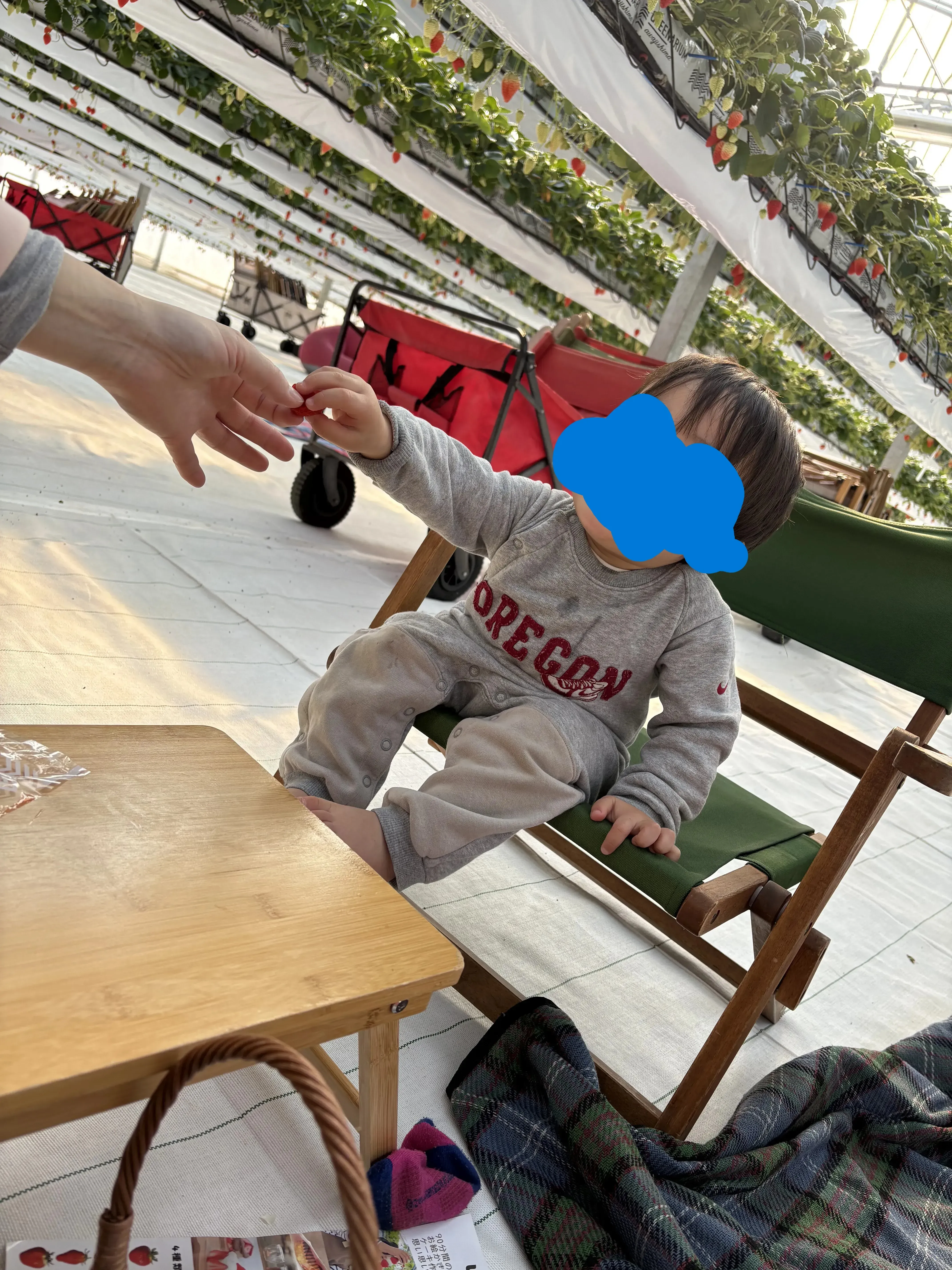 淡路島 イチゴピクニック 楽しむ子供2