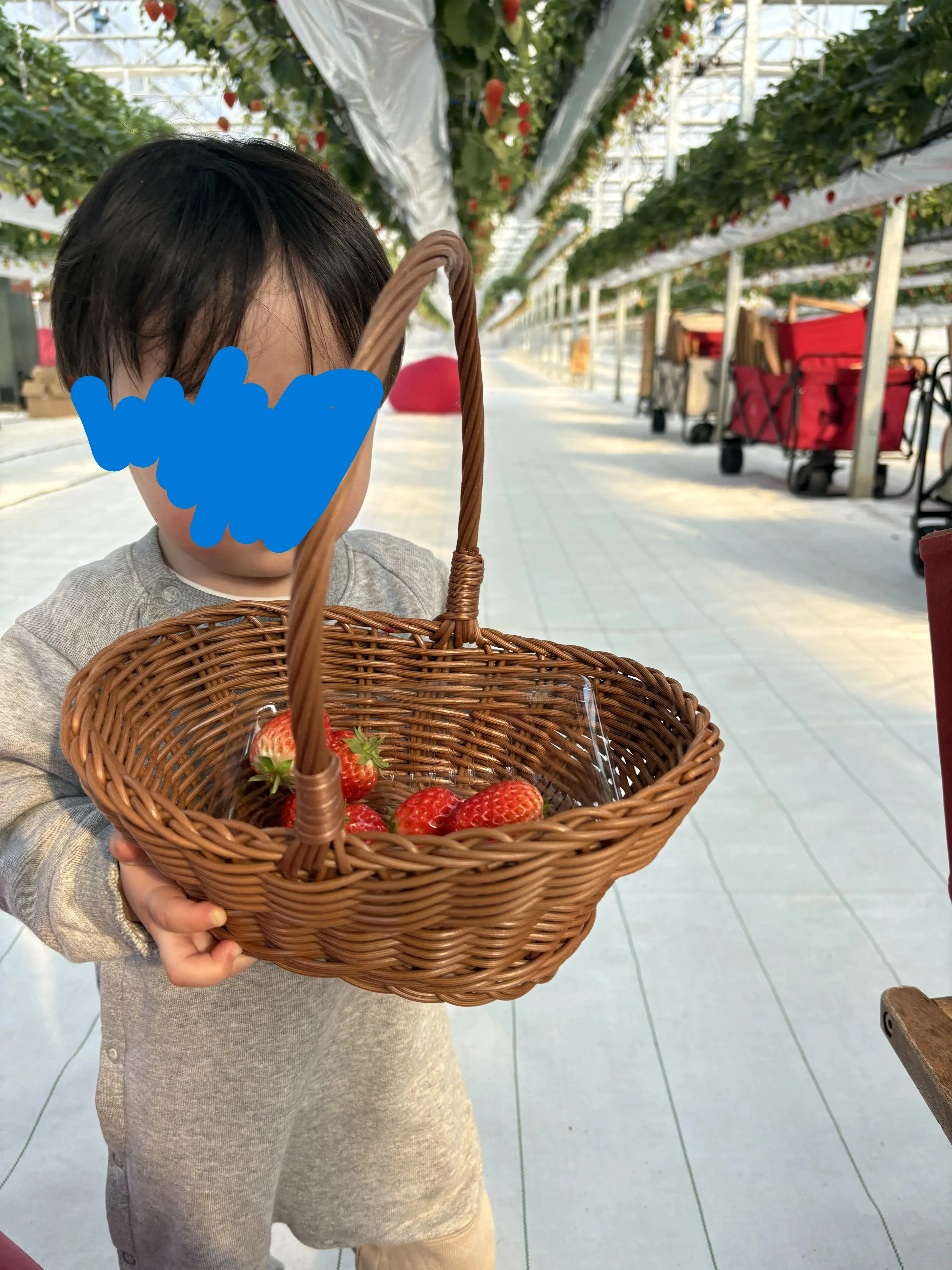 淡路島 イチゴピクニック 楽しむ子供3