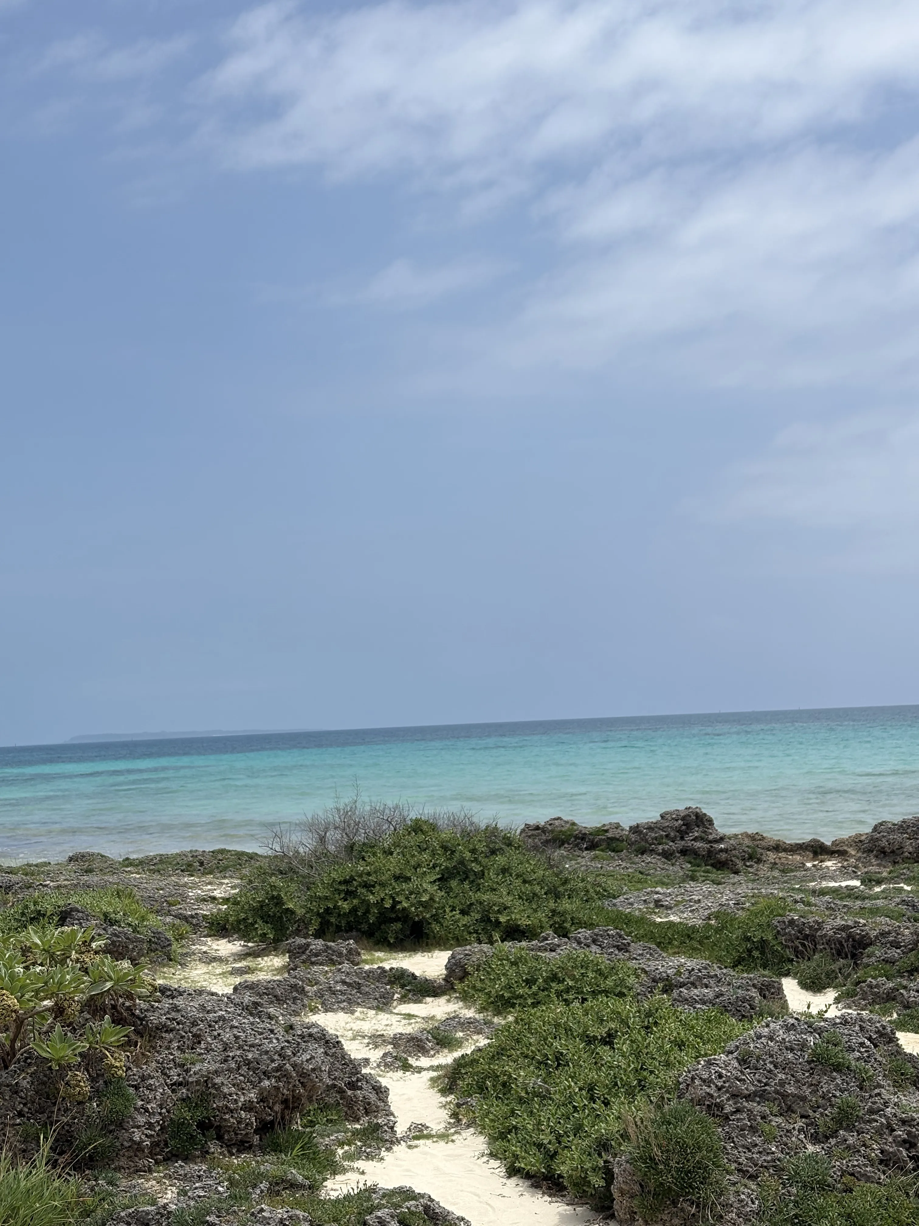 ブルータートル 海の景色
